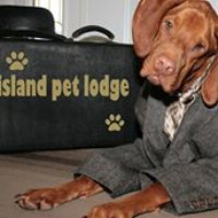 Island Pet Lodge